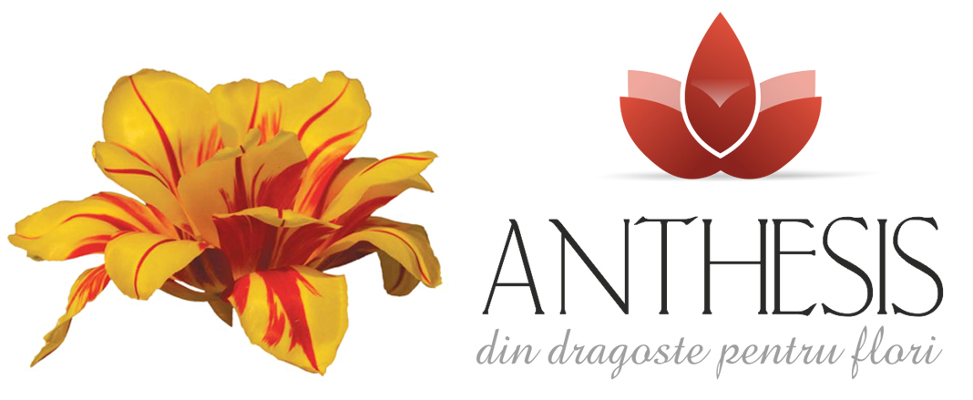 Anthesis International - Seminte profesionale