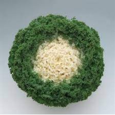 Seminte BRASSICA oleracea KAMOME F1 Bright White 1000s