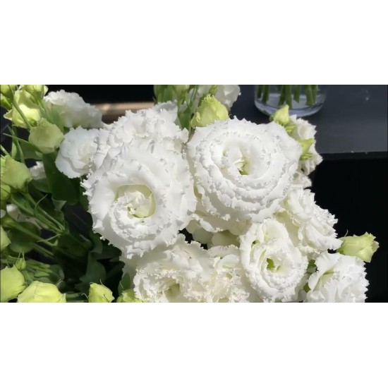 Seminte LISIANTHUS CORELLI SUGOI F1 1 SU White 1000s